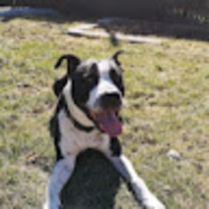 Meet your Posher, Christopher